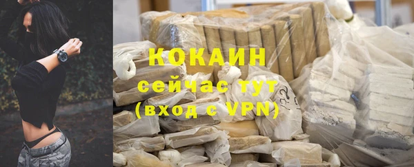 индика Алзамай