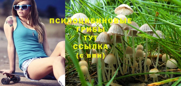индика Алзамай