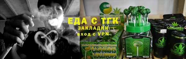 индика Алзамай