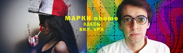индика Алзамай