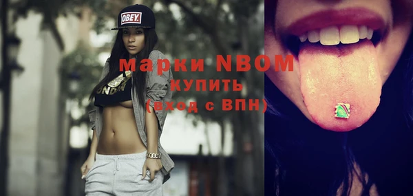 индика Алзамай