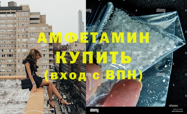 индика Алзамай