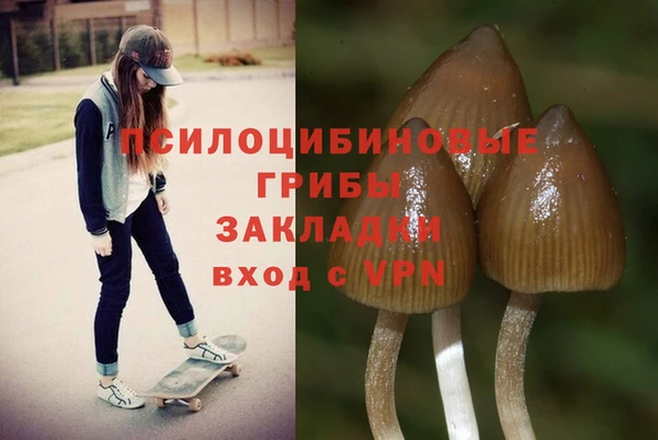 индика Алзамай