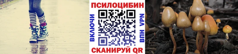 Галлюциногенные грибы Cubensis  мега рабочий сайт  Катайск 